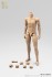 アラートライン 1/6 男性ボディ A (ドール) 商品画像10 サムネイル