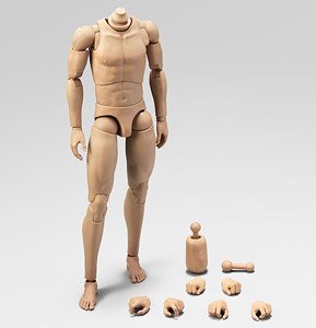 Alert Line 1/6 Male Body B (Fashion Doll)