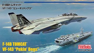 USN F-14B Tomcat VF-143 `Pukin Dogs` (Plastic model)