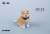 JXK スモール フロッキング 柴犬 A3 (ドール) 商品画像1