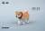 JXK スモール フロッキング 柴犬 E3 (ドール) 商品画像1