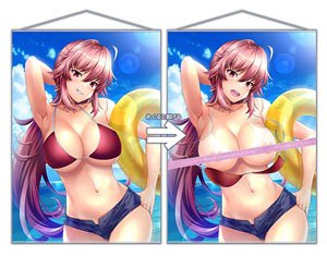 Harenochi Ame [Especially Illustrated] Yuzuriha`s Song Kotetsu Kamishina A1 Size Twofold Tapestry (Anime Toy)