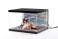 Mimeyoi Case for Kashino (PVC Figure) その他の画像3 Thumbnail