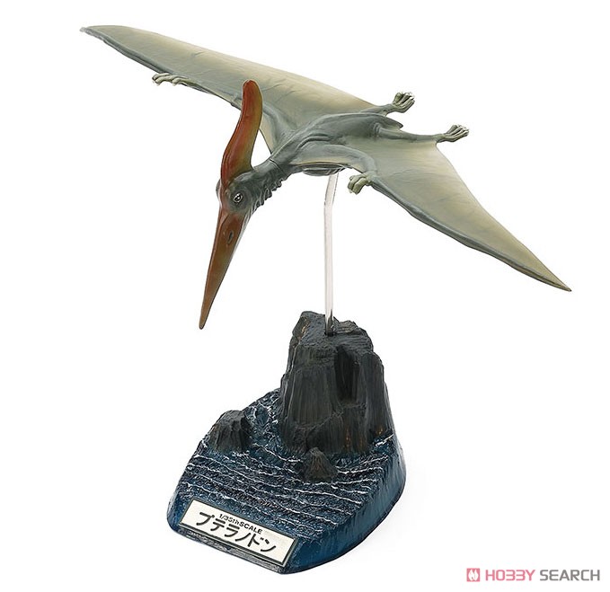 Pteranodon (Plastic model) Item picture1