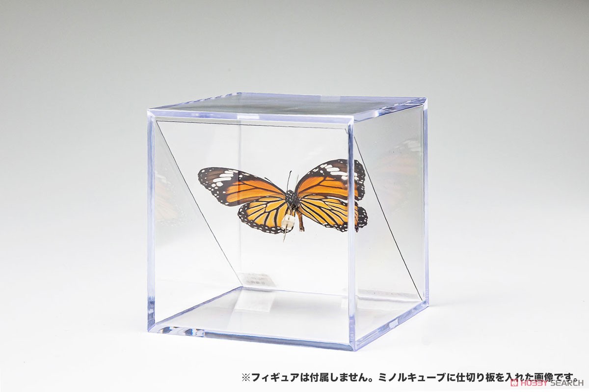 Minoru Cube Diagonal Partition for L (2 Sheet) (Display) Other picture2