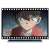 [Detective Conan: Million-dollar Pentagram] Acrylic Art Stand Vol.2 Scene Picture A (Anime Toy) Item picture1