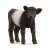 Galloway Calf (Child) (Animal Figure) Item picture1