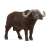 African Buffalo (Animal Figure) Item picture1