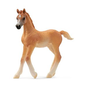 Arabian (Child) (Animal Figure)