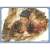 きゃらスリーブコレクション マットシリーズ グランブルーファンタジー ナタク(No.MT1850) (カードスリーブ) 商品画像1