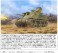 M3 LEE Medium Tank (Plastic model) その他の画像2 Thumbnail