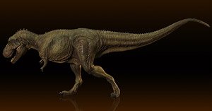 Tyrannosaurus Type B Middle Soft Vinyl Kit Reproduction Edition (Soft Vinyl Kit)