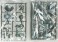 Yokai Keizu Series Kappa Retsuden (Reproduction) (Plastic model) 中身1 Thumbnail