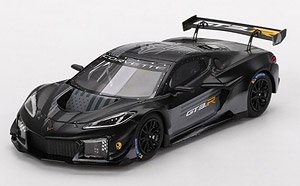 シボレー コルベット GT3.R ロードアメリカ 2023 テストカー (ミニカー)