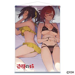 近視の姉 より抜きシーンB2タペストリー 姉＆柿田さん(水着) (キャラクターグッズ)