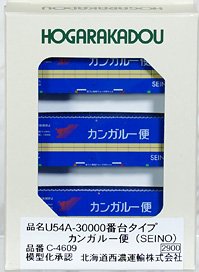 31f Container U54A-30000 Type Kangaroo (Seino) (3 Pieces) (Model Train)