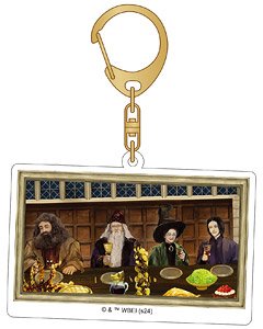 Harry Potter Acrylic Key Ring A (Anime Toy)
