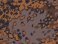 Oak leaf Camouflage Pattern A (Decal) その他の画像1 Thumbnail