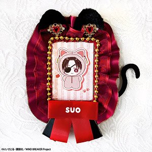 Animation [Wind Breaker] Trading Card Case & Card Set Hayato Suou (Anime Toy)