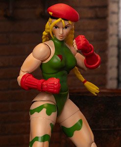Street Fighter Cammy Action Figure (Completed)