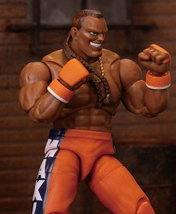 ストリートファイター ディージェイ アクションフィギュア (完成品)