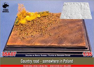 Country Road - Somewhere in Poland (Plastic model)