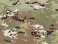 Operational Camo (Decal) その他の画像1 Thumbnail
