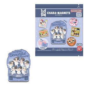 TinyTAN Chara-Magnets (Set of 14) (Shokugan)