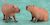 Dokidoki Animal Series : Capybara (Standing) (PVC Figure) Other picture1