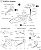 PBY-5A カタリナ `ブラック・キャット` (プラモデル) 設計図1