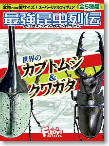 Beetle & Stag Beetle in the World 10 pieces (Shokugan)