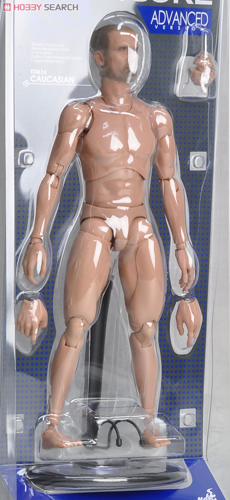 Hot Toys TrueType - 1/6 Scale Action Figure Body: Advanced - Caucasian Male Item picture7