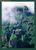 ブロッコリー ハイブリッドスリーブ 「ギアナ高地」 (カードスリーブ) 商品画像1