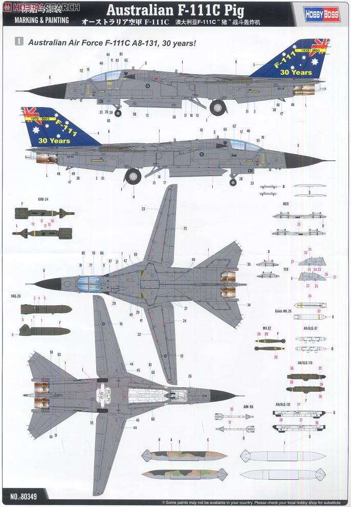 オーストラリア空軍 F-111C (プラモデル) 塗装2