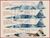 アメリカ空軍 第64/第65アグレッサー飛行隊 レッド フラッグ タイガース デカール (プラモデル) 商品画像2