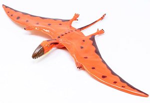 ディモルフォドン ビニールモデル (動物フィギュア)