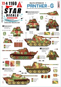 Panther Ausf G. Baltic Offensive # 1. Fsch.Pz.Reg. HG and 5. Pz.Div. in 1944-45. Baltic states-Narwa-Courland-Konigsberg-East Preussia. (Plastic model)