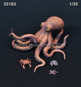 Animals Set 55 (Plastic model)