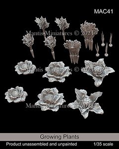 Growing Plants (Plastic model)