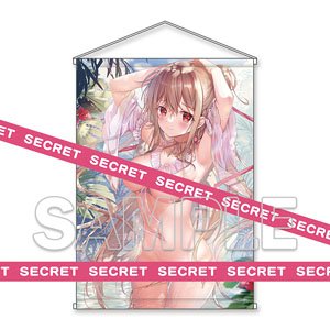 電撃萌王 C104 描き下ろしX-RATED B2タペストリー TwinBox (キャラクターグッズ)