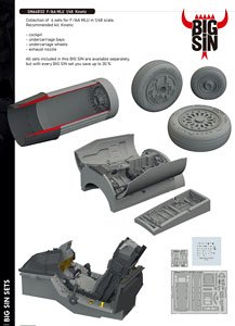 F-16A MLU Big Sin Parts Set (for Kinetic) (Plastic model)