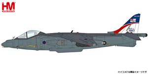 Harrier GR.9 ZD406, Royal Navy Strike Wing, RAF Station Cottesmore, 2009 (Pre-built Aircraft)