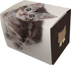 Character Deck Case Max Neo [American & Short Hair] (Card Supplies)