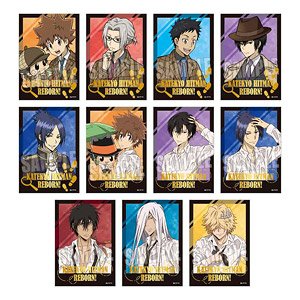 家庭教師ヒットマンREBORN！ トレーディング箔押しブロマイド (11個セット) (キャラクターグッズ)