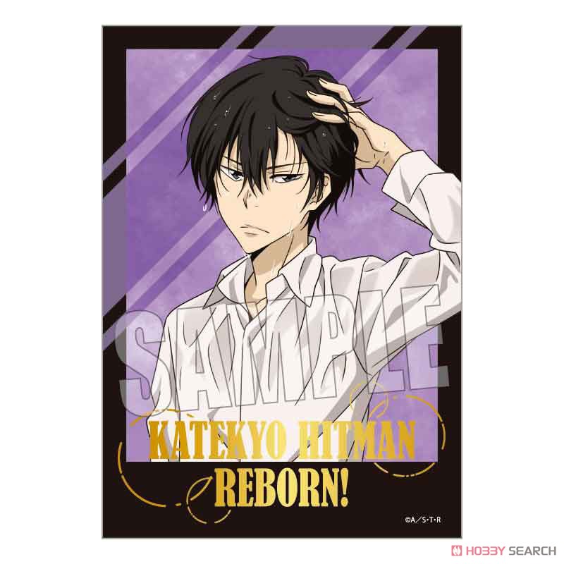 家庭教師ヒットマンREBORN！ トレーディング箔押しブロマイド (11個セット) (キャラクターグッズ) 商品画像2