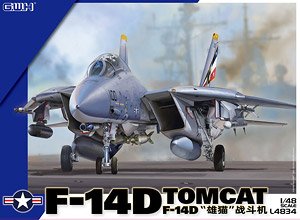 US Navy F-14D Tomcat (Plastic model)