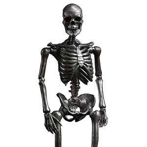101 Toys 1/12 Palm Elf Series Skeleton Body Silver Ver. (Completed)