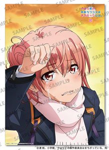 TVアニメ「やはり俺の青春ラブコメはまちがっている。完」 A3布ポスター (キャラクターグッズ)