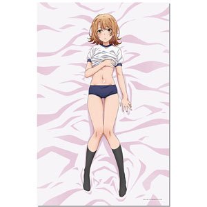My Teen Romantic Comedy Snafu Too! HG Towelblanket (Iroha) (Anime Toy)