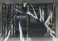 AE85 Levin Itsuki Takeuchi (Model Car) 中身2 Thumbnail